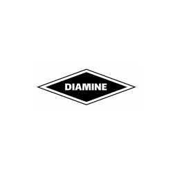 Diamine Inkvender Tintenglas Pen Ink Füller 50m DIA 2036 Garland Shimmer & Sheen