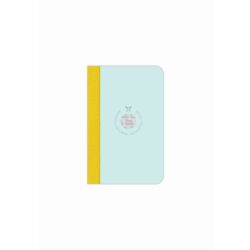 Flexbook Smartbook Liniert 160 Seiten 9*14cm / liniert / Hellblau-grün