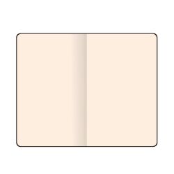 Flexbook Global Notizbuch blanko Seiten Elastikband 17 * 24 cm Blanko Orange